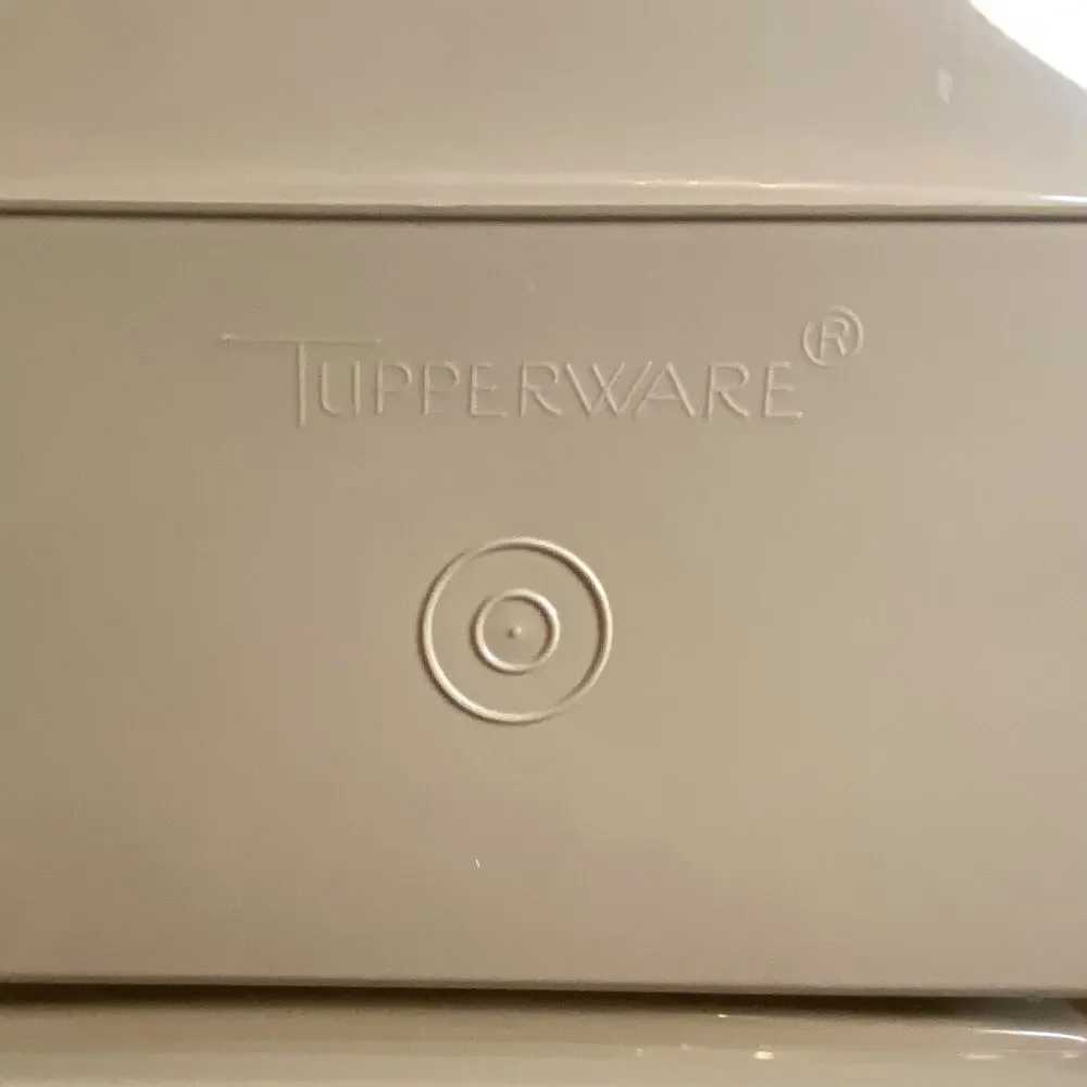 Vintage 70's Tupperwear  Beige Container for Deviled Eggs with ONE egg insert